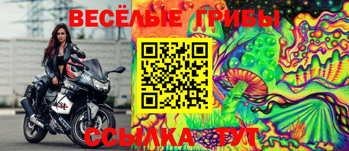 Галлюциногенные грибы GOLDEN TEACHER  Вход с VPN  Псилоцибиновые грибы GOLDEN TEACHER  Дивногорск 